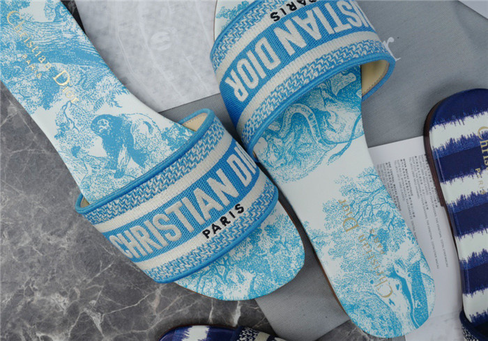 d1r* slide copshoe dr-213