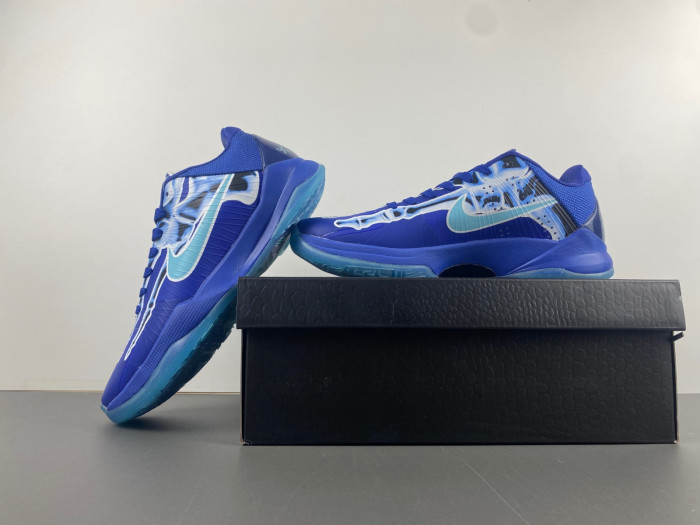 zoom kobe 5 protro 