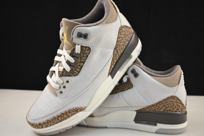 air jordan 3 palomino ct8532-102