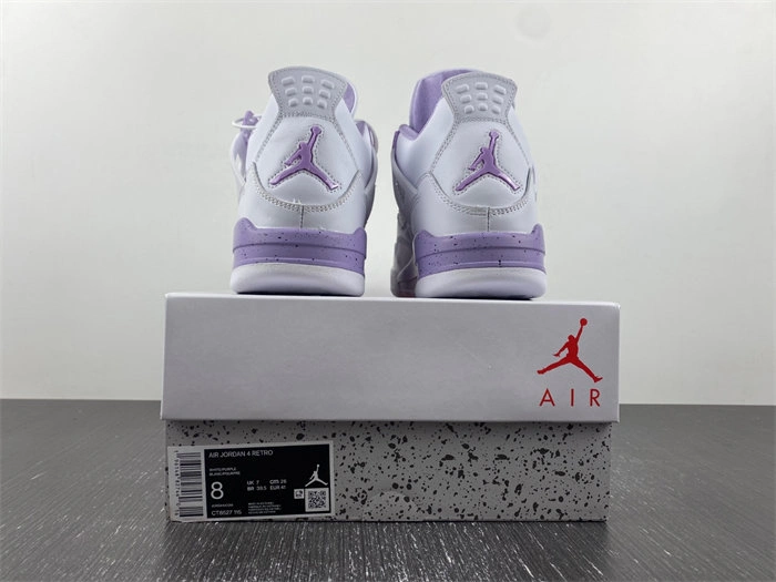 Packable Air Jordan 4 CT8527- 3931